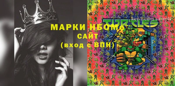 spice Богородск