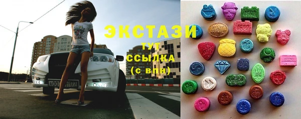 spice Богородск