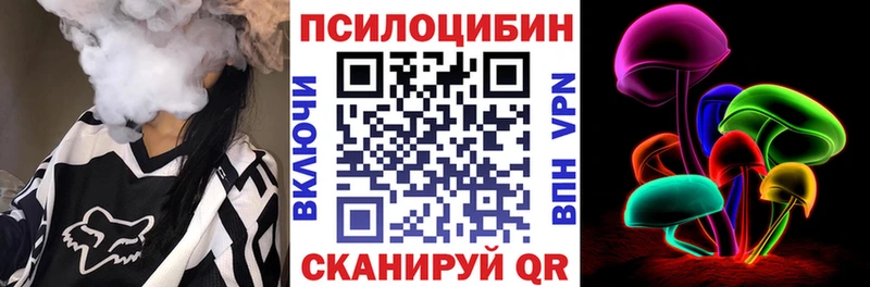закладка  Невельск  Псилоцибиновые грибы Cubensis 